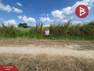 For sale land in Phanat Nikhom, Chonburi