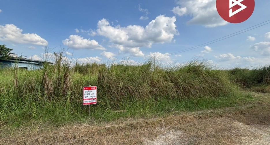 For sale land in Phanat Nikhom, Chonburi