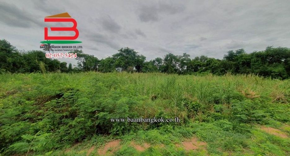 À vendre terrain à Lat Lum Kaeo, Pathum Thani