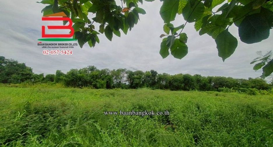 À vendre terrain à Lat Lum Kaeo, Pathum Thani