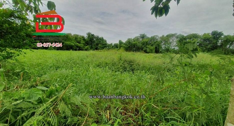 À vendre terrain à Lat Lum Kaeo, Pathum Thani