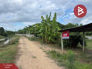 For sale land in Pa Sang, Lamphun