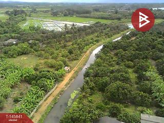 For sale land in Pa Sang, Lamphun