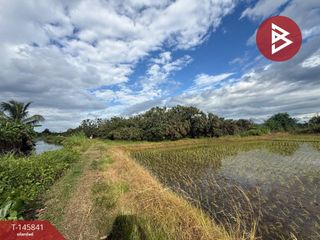 For sale land in Pa Sang, Lamphun