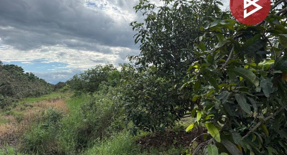 For sale land in Pa Sang, Lamphun