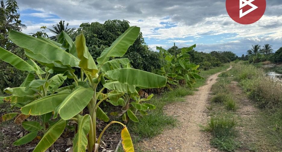 For sale land in Pa Sang, Lamphun