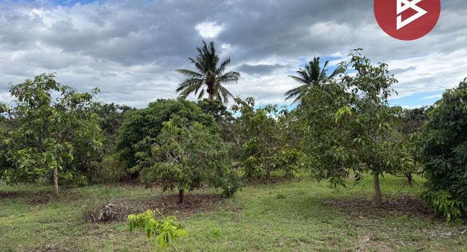 For sale land in Pa Sang, Lamphun