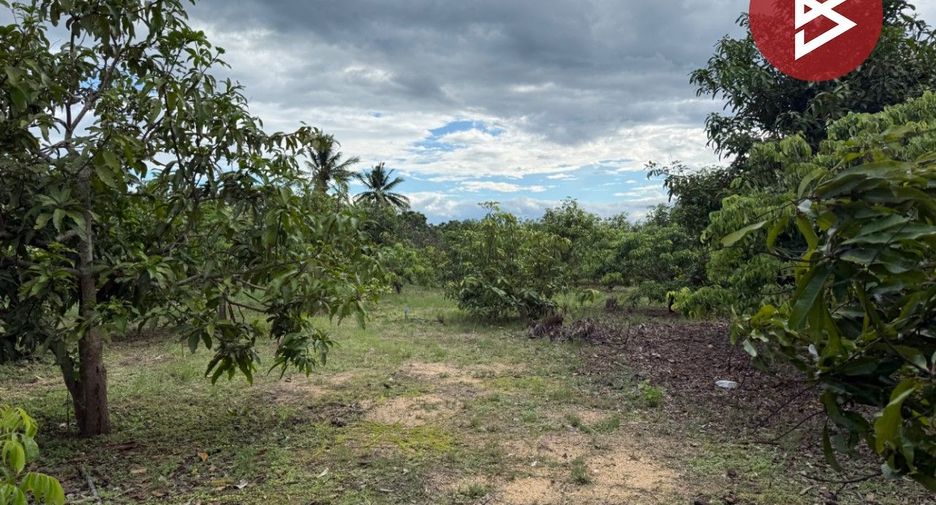 For sale land in Pa Sang, Lamphun