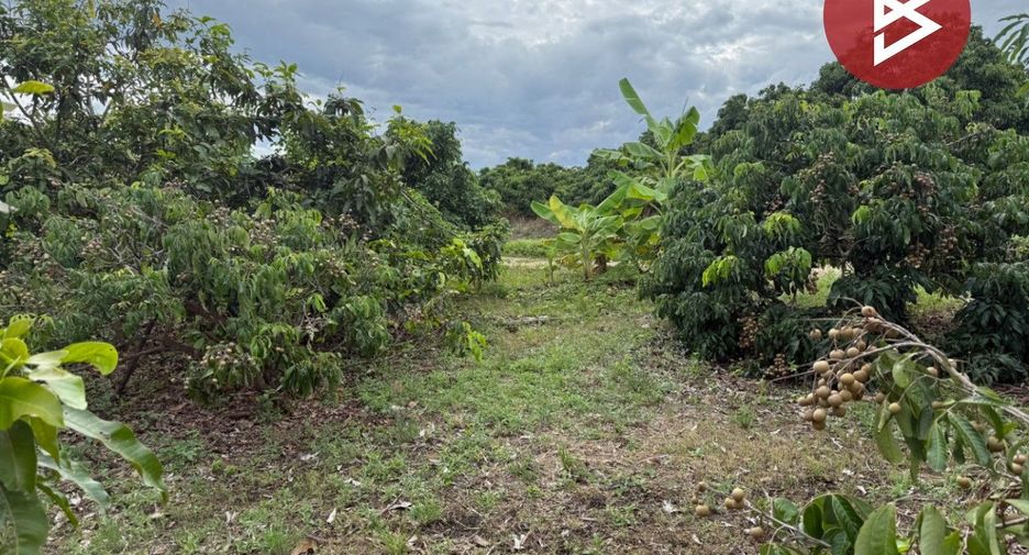 For sale land in Pa Sang, Lamphun