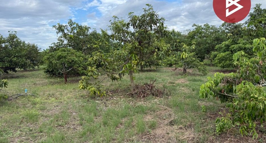 For sale land in Pa Sang, Lamphun