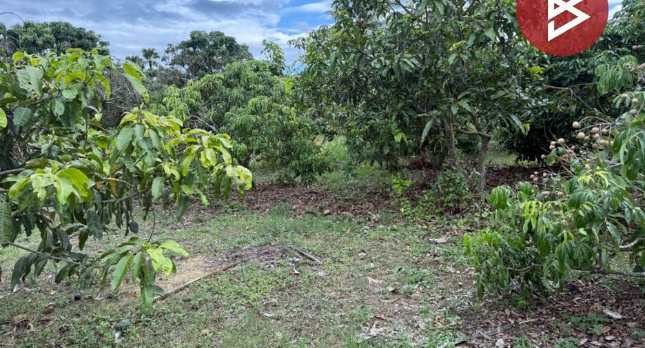 For sale land in Pa Sang, Lamphun