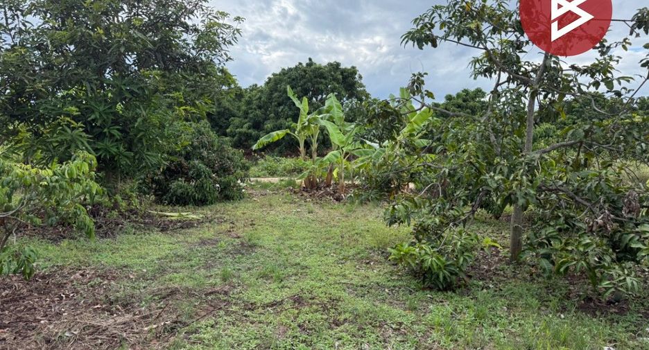 For sale land in Pa Sang, Lamphun