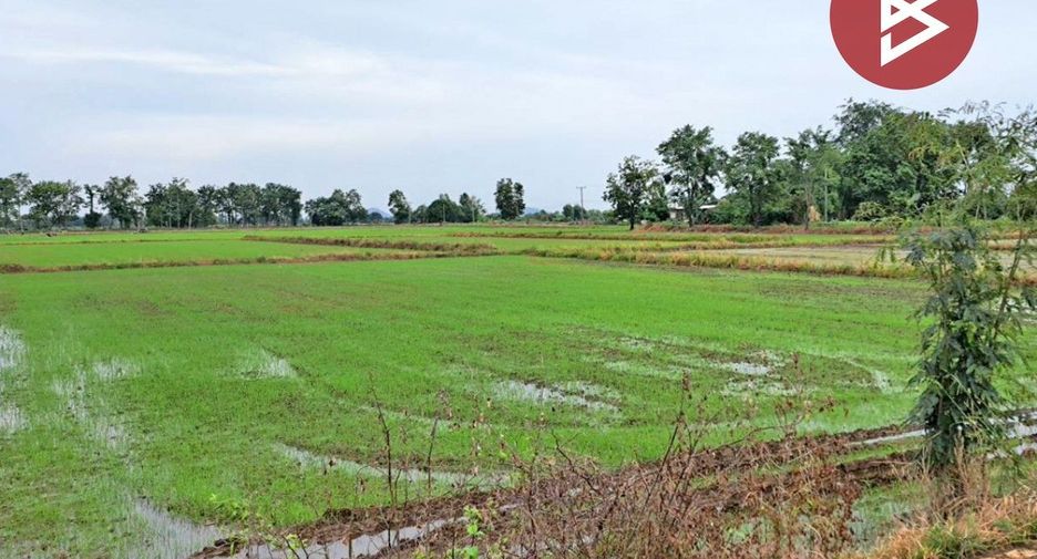 For sale land in Noen Maprang, Phitsanulok