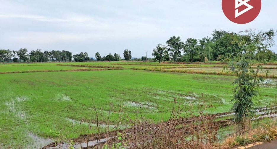 For sale land in Noen Maprang, Phitsanulok