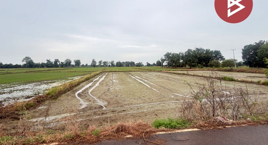 For sale land in Noen Maprang, Phitsanulok