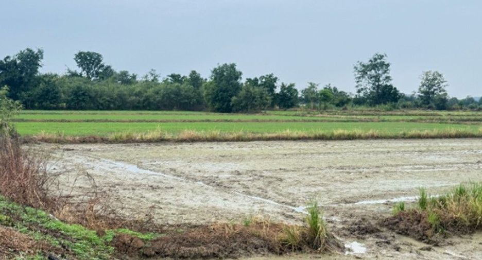 For sale land in Noen Maprang, Phitsanulok