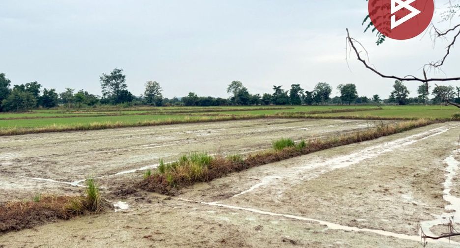 For sale land in Noen Maprang, Phitsanulok