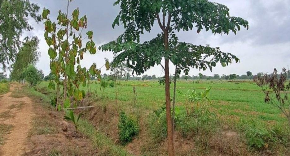 For sale land in Noen Maprang, Phitsanulok