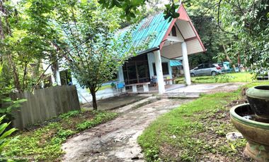 For sale land 
