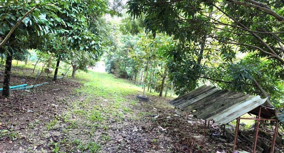 For sale land 