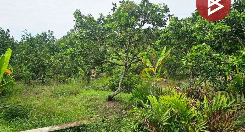 For sale land in Bang Khonthi, Samut Songkhram