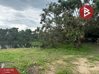 For sale land in Pa Sang, Lamphun