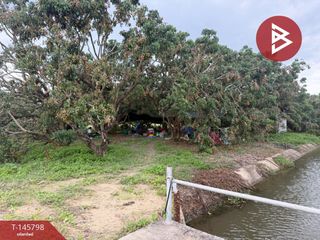 For sale land in Pa Sang, Lamphun