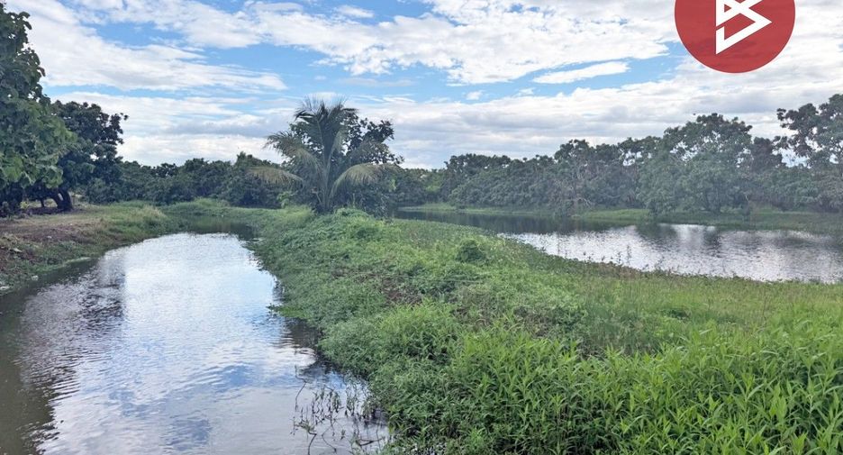 For sale land in Pa Sang, Lamphun