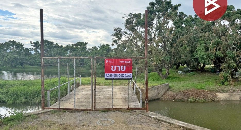 For sale land in Pa Sang, Lamphun