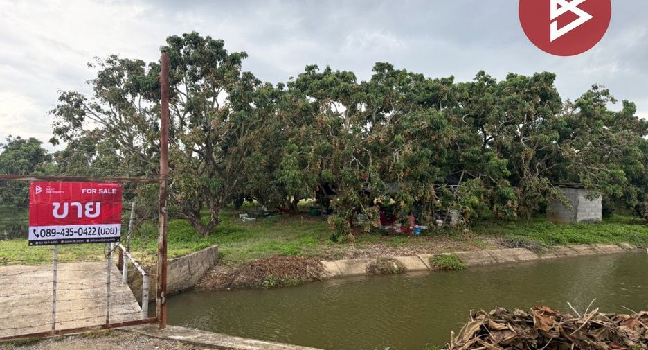 For sale land in Pa Sang, Lamphun