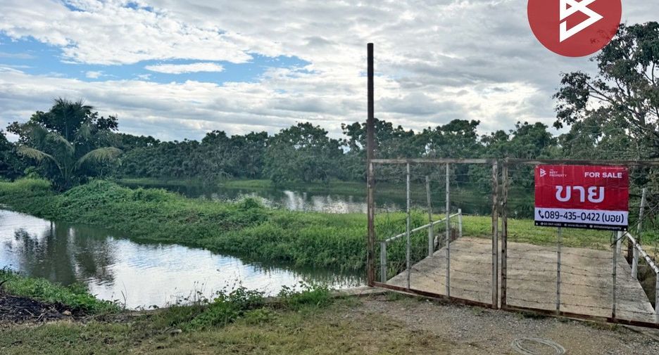 For sale land in Pa Sang, Lamphun