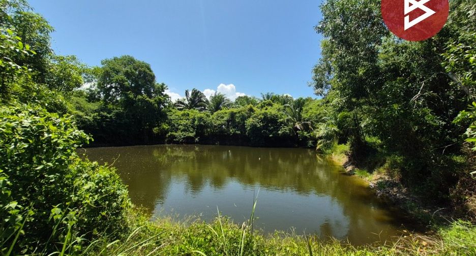 Terreno en venta en Don Sak, Surat Thani