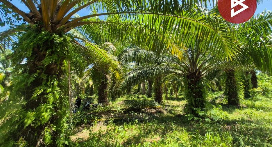 Terreno en venta en Don Sak, Surat Thani