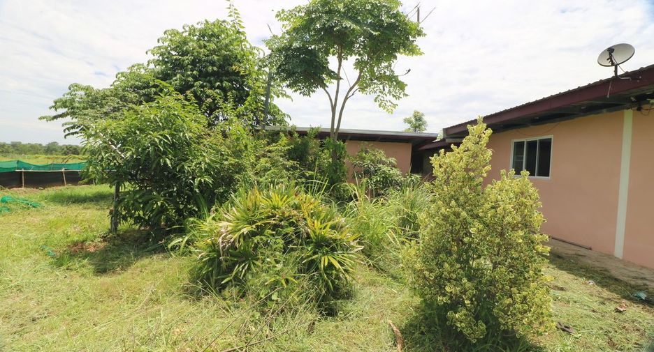 For sale 2 bedrooms retail Space in Mueang Nongbua Lamphu, Nong Bua Lamphu