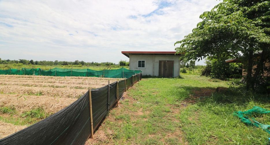 For sale 2 bedrooms retail Space in Mueang Nongbua Lamphu, Nong Bua Lamphu