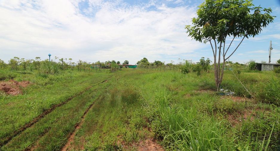 For sale 2 bedrooms retail Space in Mueang Nongbua Lamphu, Nong Bua Lamphu