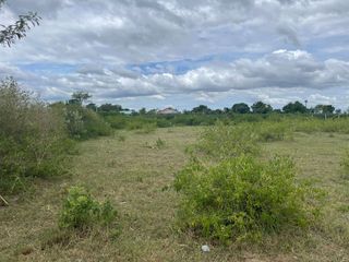 For sale land in U Thong, Suphan Buri