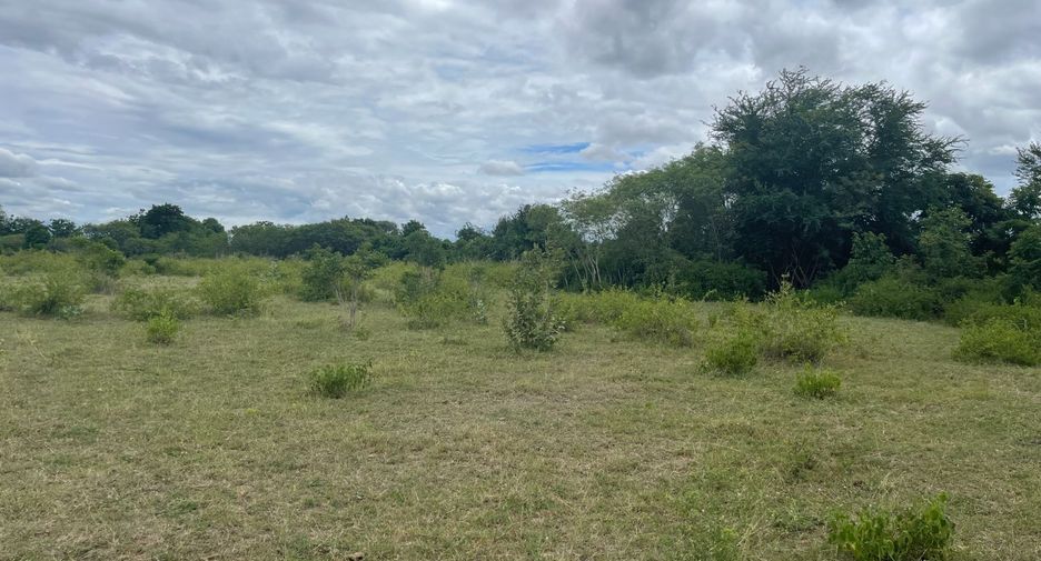 For sale land in U Thong, Suphan Buri