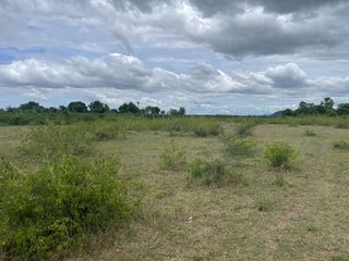 For sale land in U Thong, Suphan Buri