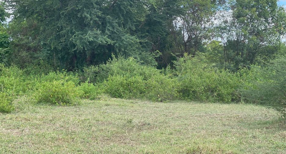 For sale land in U Thong, Suphan Buri