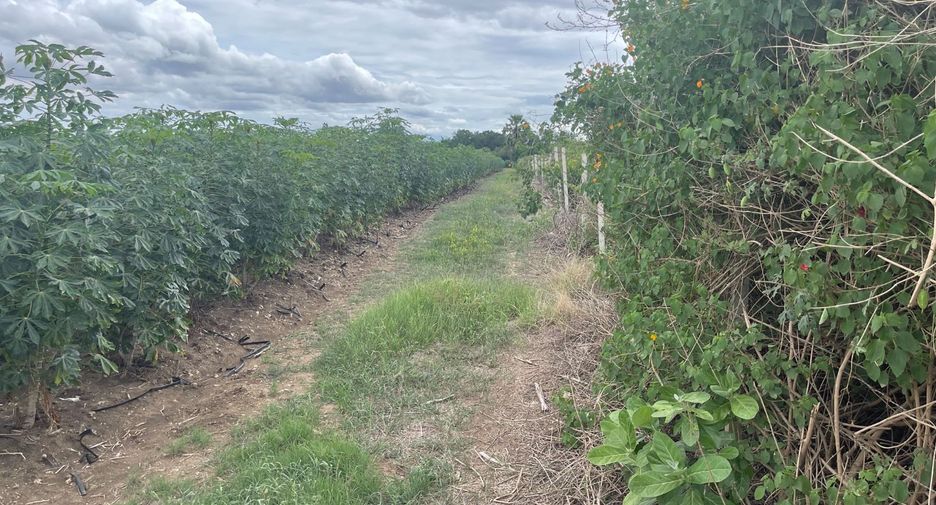 For sale land in U Thong, Suphan Buri