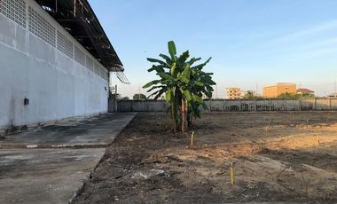 À vendre 10 chambres entrepôt à Krathum Baen, Samut Sakhon