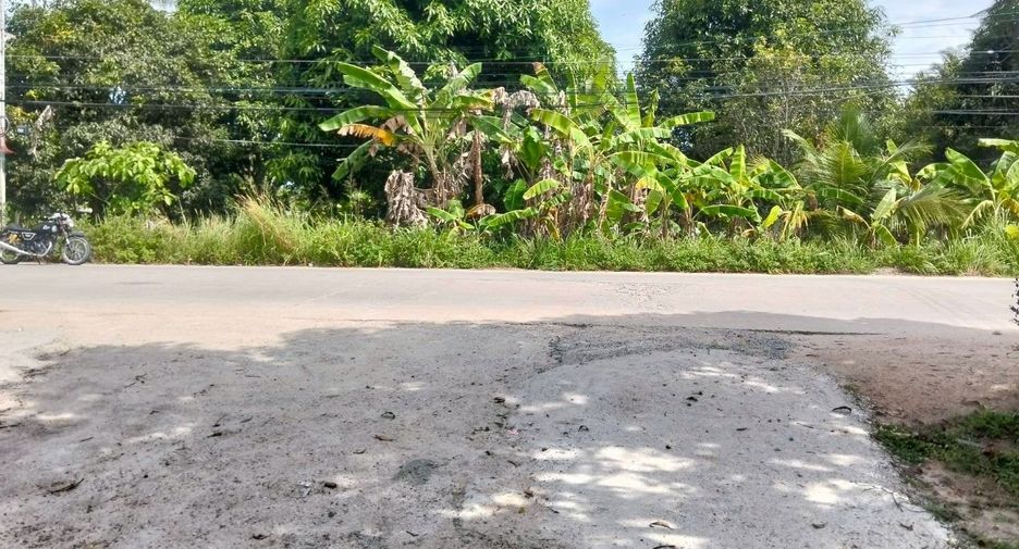 For sale land in Ko Pha-ngan, Surat Thani
