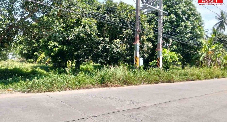 For sale land in Ko Pha-ngan, Surat Thani