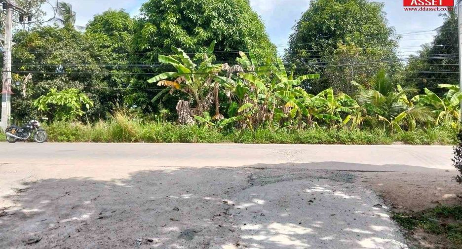 For sale land in Ko Pha-ngan, Surat Thani