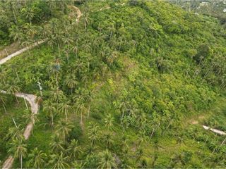 For sale land in Ko Samui, Surat Thani