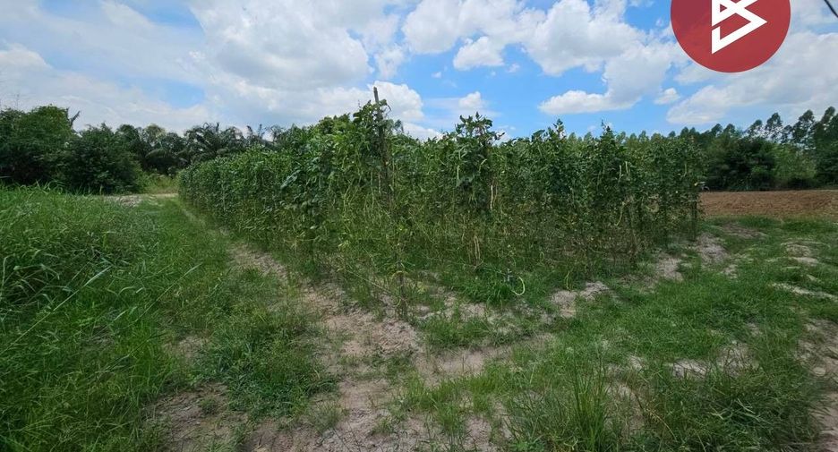 For sale land in Phanat Nikhom, Chonburi