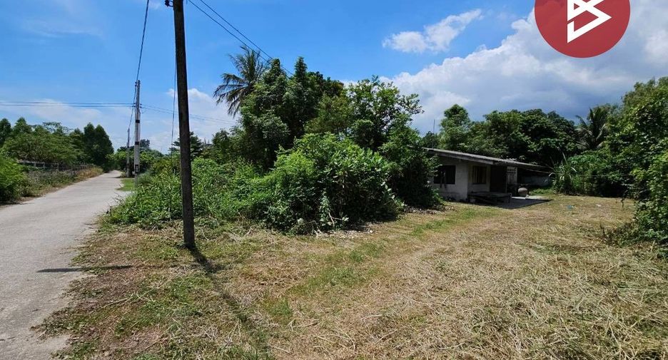 For sale land in Phanat Nikhom, Chonburi