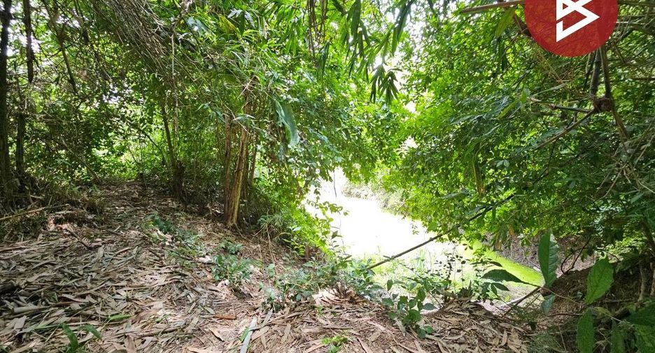 For sale land in Phanat Nikhom, Chonburi