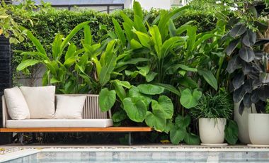Villa en venta de 4 habitaciones en Bang Lamung, Chonburi